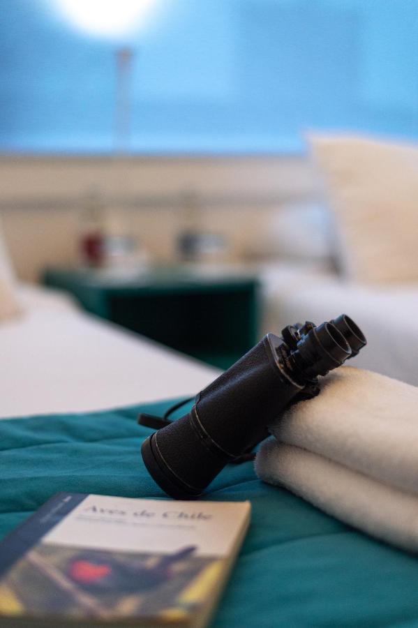 Hostal Boutique Terra Antarctica Punta Arenas Exteriör bild